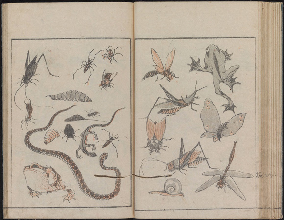 Hokusais Manga Princeton University Library 0363